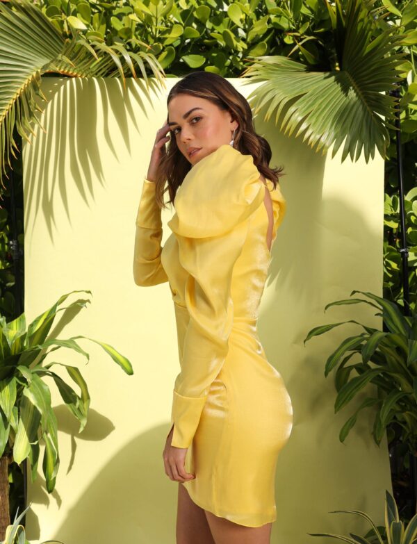 FR Lola Mini Yellow Dress