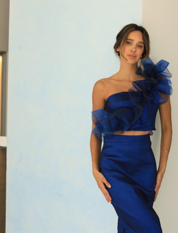 FR  Ellery Dress